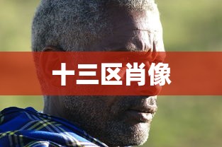 十三区肖像  第1张