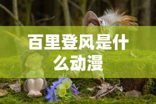 百里登风是什么动漫  第1张