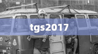tgs2017  第1张