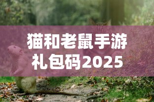猫和老鼠手游礼包码2025  第1张