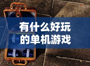 有什么好玩的单机游戏不需要网络的  第1张