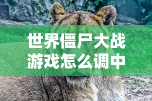 世界僵尸大战游戏怎么调中文  第1张
