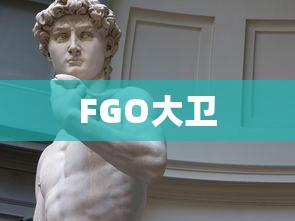 FGO大卫  第1张