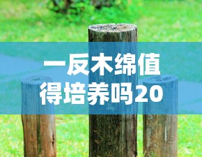 一反木绵值得培养吗2020  第1张