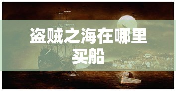 盗贼之海在哪里买船  第1张