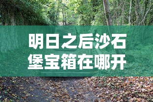 明日之后沙石堡宝箱在哪开  第1张