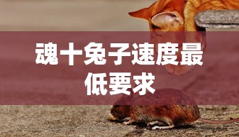 魂十兔子速度最低要求  第1张