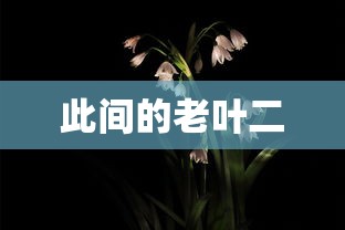 寻仙手游宁阳观隐藏任务在哪里  第1张