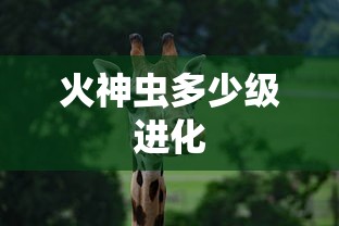 火神虫多少级进化  第1张