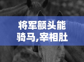 将军额头能骑马,宰相肚里能撑船  第1张