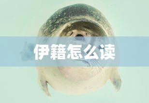 奇瑞汽车2020业绩  第1张