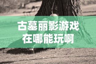 东风雷诺价格  第1张