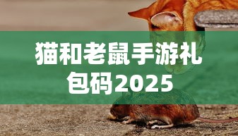 猫和老鼠手游礼包码2025  第1张