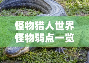sktS6冠军皮肤  第1张