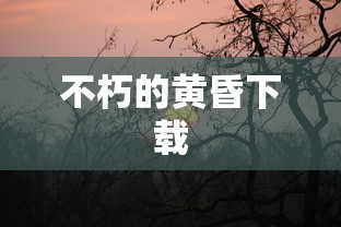 不朽的黄昏下载  第1张