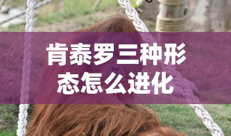 肯泰罗三种形态怎么进化  第1张