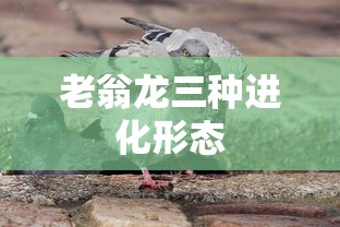 老翁龙三种进化形态  第1张