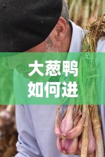 大葱鸭如何进化成葱游兵  第1张