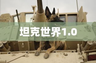 坦克世界1.0  第1张