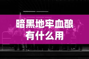 暗黑地牢血酿有什么用  第1张