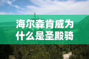 海尔森肯威为什么是圣殿骑士  第1张