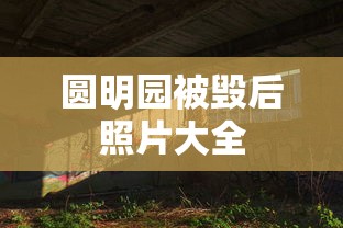 圆明园被毁后照片大全  第1张