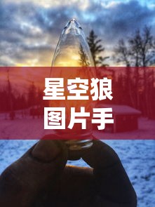 星空狼图片手机壁纸高清  第1张