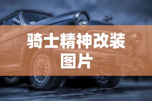骑士精神改装图片  第1张
