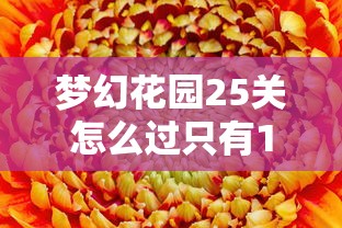 梦幻花园25关怎么过只有12步  第1张