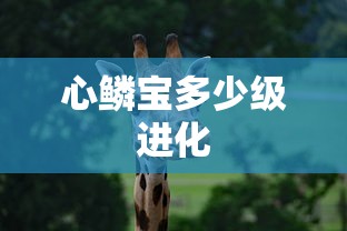 心鳞宝多少级进化  第1张