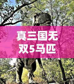 真三国无双5马匹一览  第1张