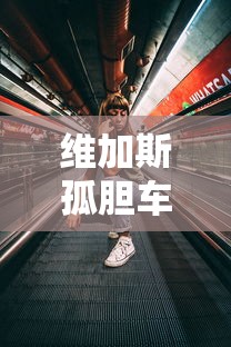 维加斯孤胆车神破解版最新版本  第1张