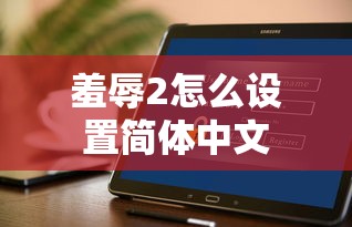 羞辱2怎么设置简体中文  第1张