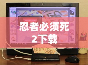 忍者必须死2下载  第1张