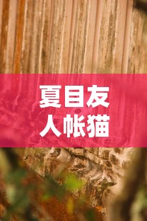 夏目友人帐猫咪老师图片  第1张