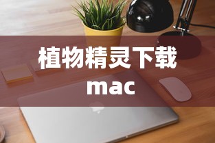 圆锥侧面积计算公式推导过程  第1张
