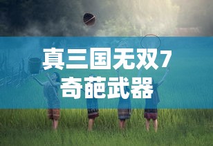 真三国无双7奇葩武器  第1张