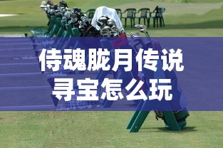 战玲珑手游下载  第1张