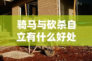 骑马与砍杀自立有什么好处  第1张