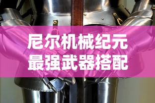 尼尔机械纪元最强武器搭配  第1张