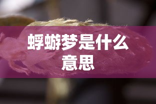 蜉蝣梦是什么意思  第1张