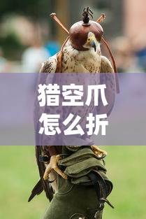 猎空爪怎么折  第1张