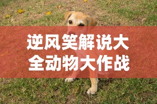 逆风笑解说大全动物大作战  第1张