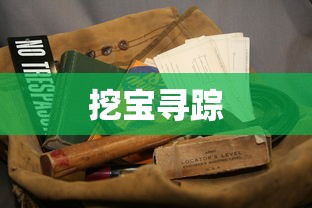 挖宝寻踪  第1张