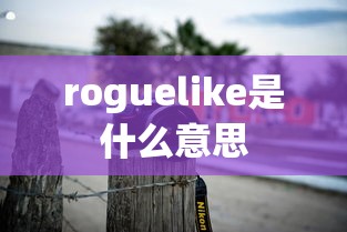 roguelike是什么意思  第1张