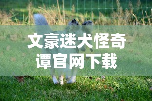 吉利帝豪EC718  第1张