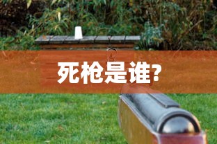 死枪是谁?  第1张