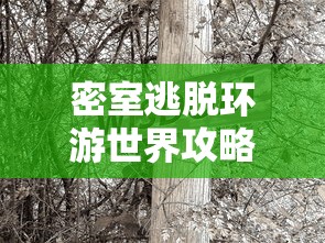 密室逃脱环游世界攻略大全视频  第1张