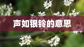 声如银铃的意思  第1张