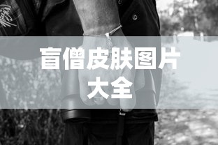 盲僧皮肤图片大全  第1张